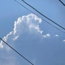벌써 6월도 끝이야!☁️
