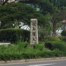 약천 산책로 네이버블로그