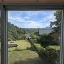 포레스트휴 이미지