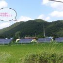 파워쏠라태양광발전소 이미지