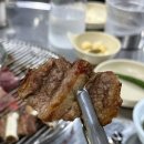 반갑다돼지야