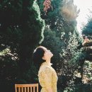 윤하 카카오 검색결과