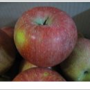 청남농원 이미지