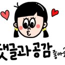 순천시청소년수련원야영장 이미지