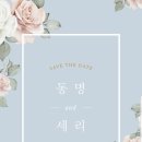 인계동 1133-8 이미지