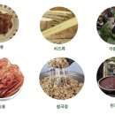 천기누설식품 이미지