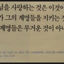 데이빗서적 이미지