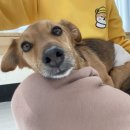 포그니유치원 이미지