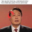 2차 토론, 윤석열 흰털... 이건 뭐냐구?? 최근 이발한 듯, 그런데 흰털만 남겨둔거냐? 이미지