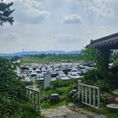 스타인뷰 | [내돈내산] 남양주 로마옥 리버사이드 한강뷰 레스토랑 솔직 후기 이탈리안 뷰맛집 찐추천!
