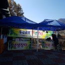 영창농장 이미지