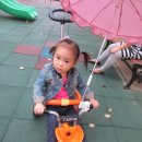 JJ놀이터 이미지