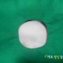 개포별빛동물병원 | 개포동 동물병원]3살 코리안 숏 헤어 암컷고양이의 중성화수술/최소절개/당일퇴원 -[개포별빛동물병원]