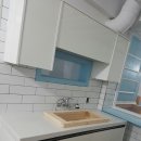 호야네애견샵 이미지