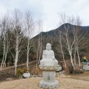 (박곡리)박곡리962