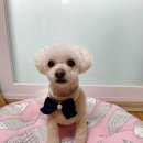 금복 미용실