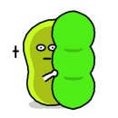 셀피아복대2점 이미지