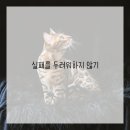 운동습관 이미지