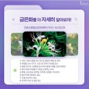 더샵짱 이미지
