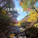 🌈대륙골의 가을 단풍 이미지
