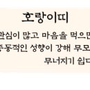 소풍여행사주 이미지