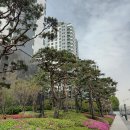 정순부동산 이미지