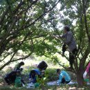 태석농장 이미지