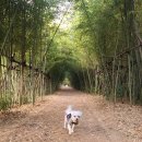 대실근린공원 이미지