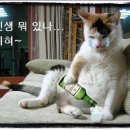 에이