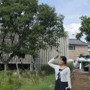 이리 - 익산시 만석길 338-1 | 충남 예산 대형카페 <카페이리정미소> 내돈내산 후기