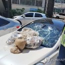남부자동차유리 이미지