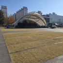 상무시민공원 | 인생네컷] 광주 포토부스 대여 렌탈 포토박스 : 광주문화재단행사 상무시민공원, 스탠드타입 포토부스 후기