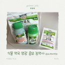 강아지랑 사는 식집사의 농약 구매기 | 영광종묘농약사 | 코니도, 빅카드 | 응애, 뿌리파리 박멸 (벌레...