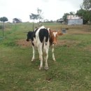 KIM&KIM FARM 이미지