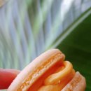 쫀득한달 이미지