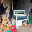 강건너맛집 | 안성 맛집 배 타고 들어가는 매운탕 전문점 강건너빼리 야외 금광호수 뷰