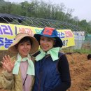 금순이농장 이미지