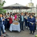 피어메디클로버
