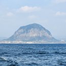 제주 산방산 암벽식물지대 이미지