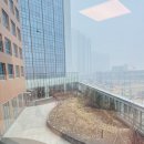 송도 달빛공원 달빛풋살장 | 인천 송도 달빛축제공원숙소 달빛스테이 내돈내산 후기
