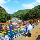 숲길 정보 2026년 트레킹 전문가가 추천한 3대 힐링 코스 이미지