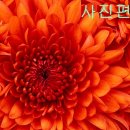 수컴퓨터 이미지