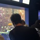 뚱보SeaFood | 11개월, 35개월 아기들과 오키나와 여행 DAY2 / 츄라우미 수족관 / 백년고가 우후야 / 호텔 닛코 알리...