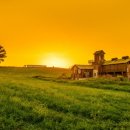 축복목장 이미지