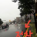 로사리아꽃화원 이미지