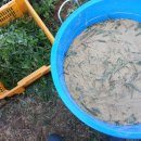 키다리농장 이미지