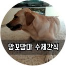 앙꼬맘마 이미지