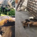 은색농장 이미지