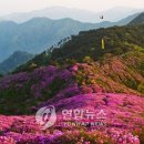 서부농협 건너편 이미지