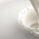 마일로 - 남구 분포로 145 | 마일로